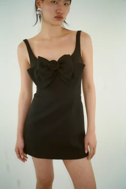 Clearance Sandy Liang Arden Dress In Black